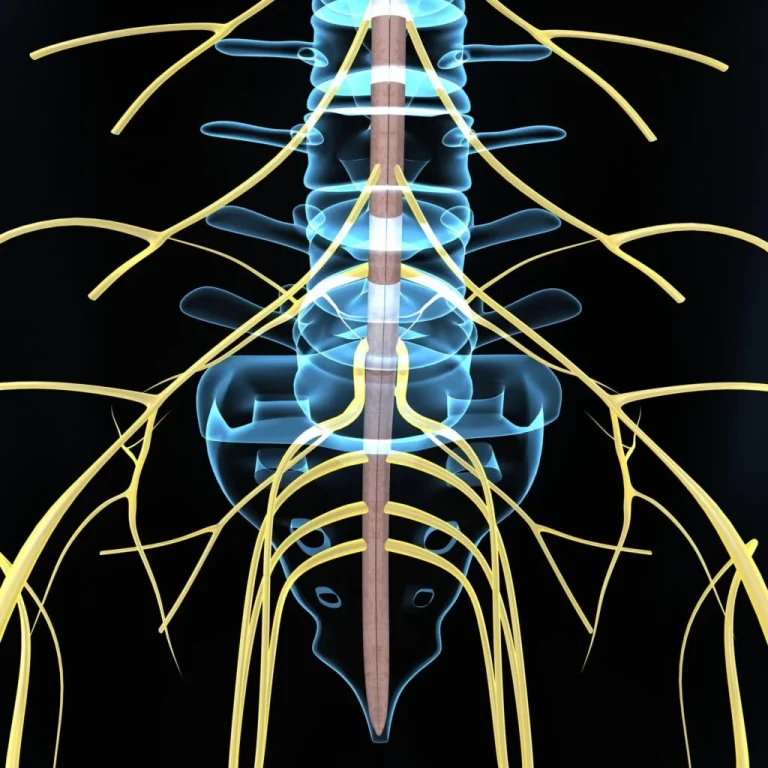 spine-health-calgary-chiropractic-1024x1024
